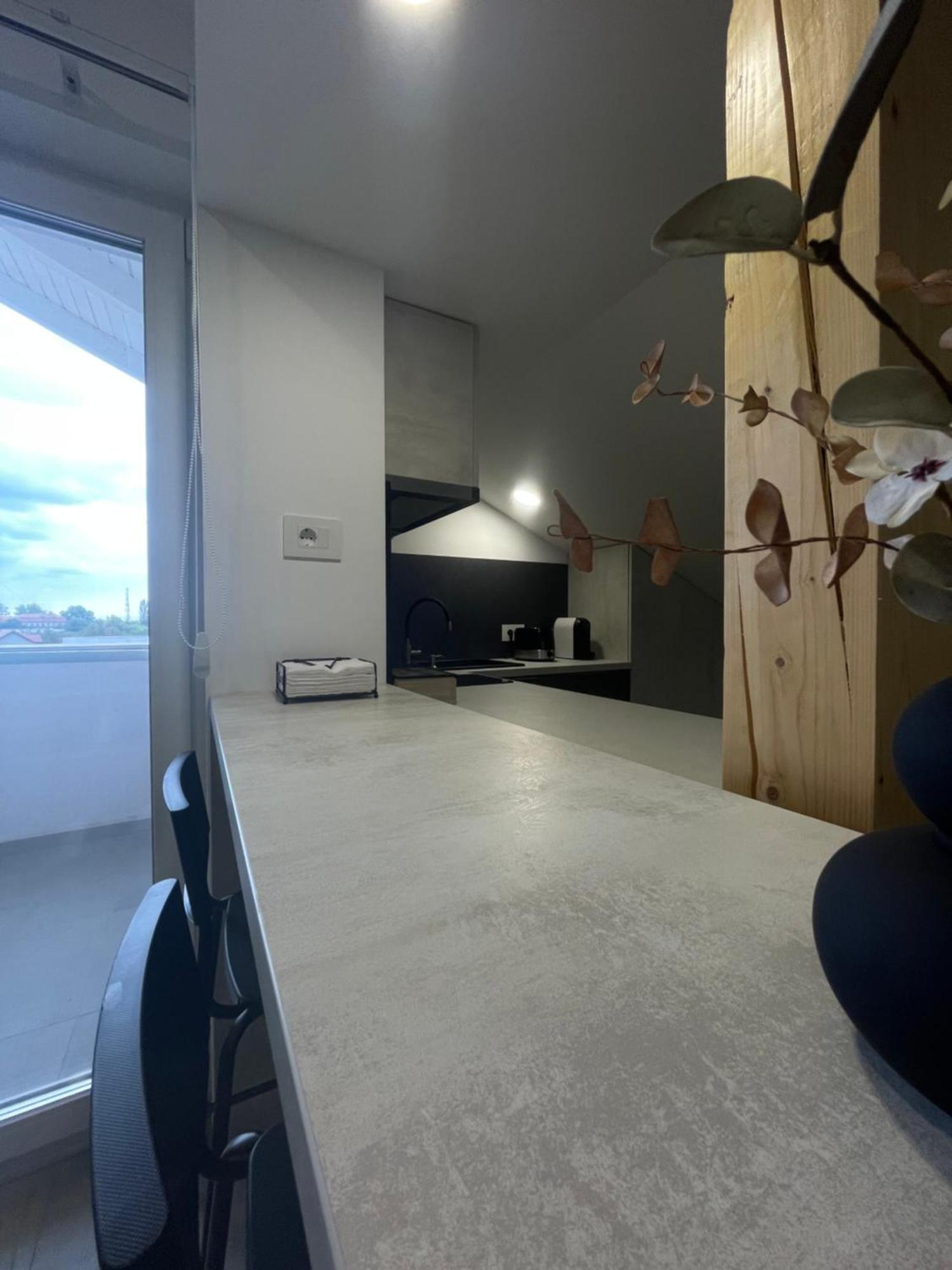Comfort & Luxury Apartaments Pnmresidence Timișoara Zewnętrze zdjęcie