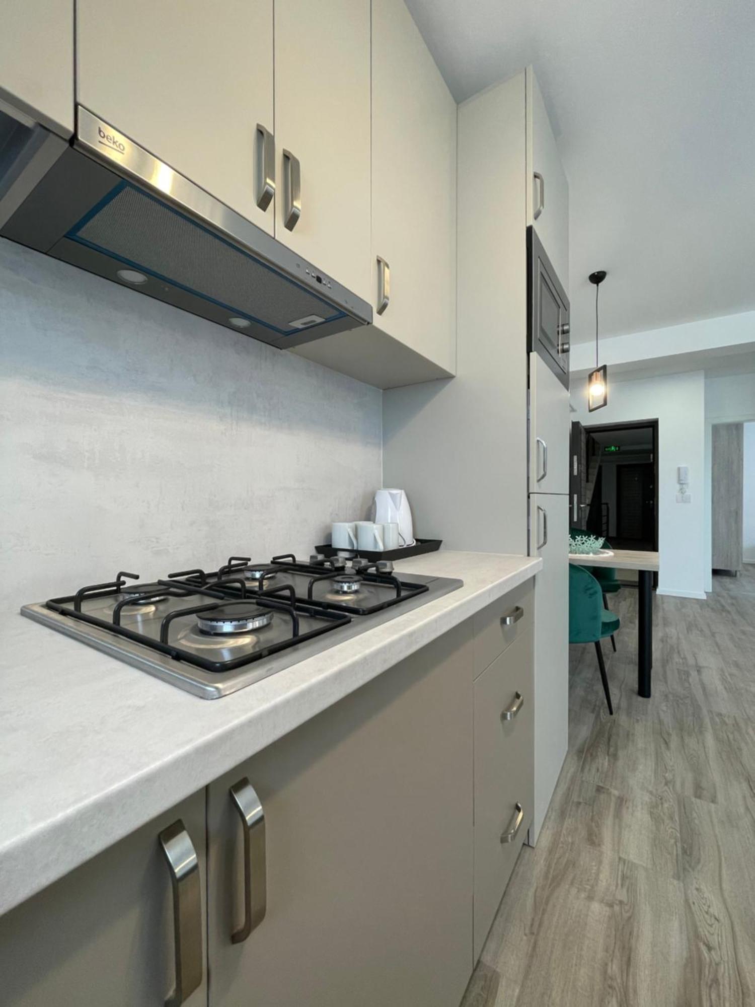 Comfort & Luxury Apartaments Pnmresidence Timișoara Zewnętrze zdjęcie